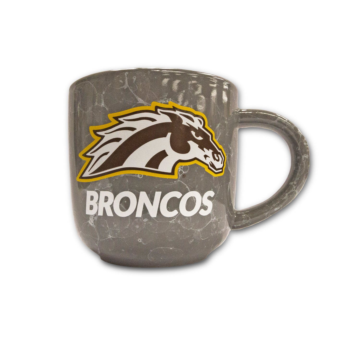 Western Michigan Marble Mug