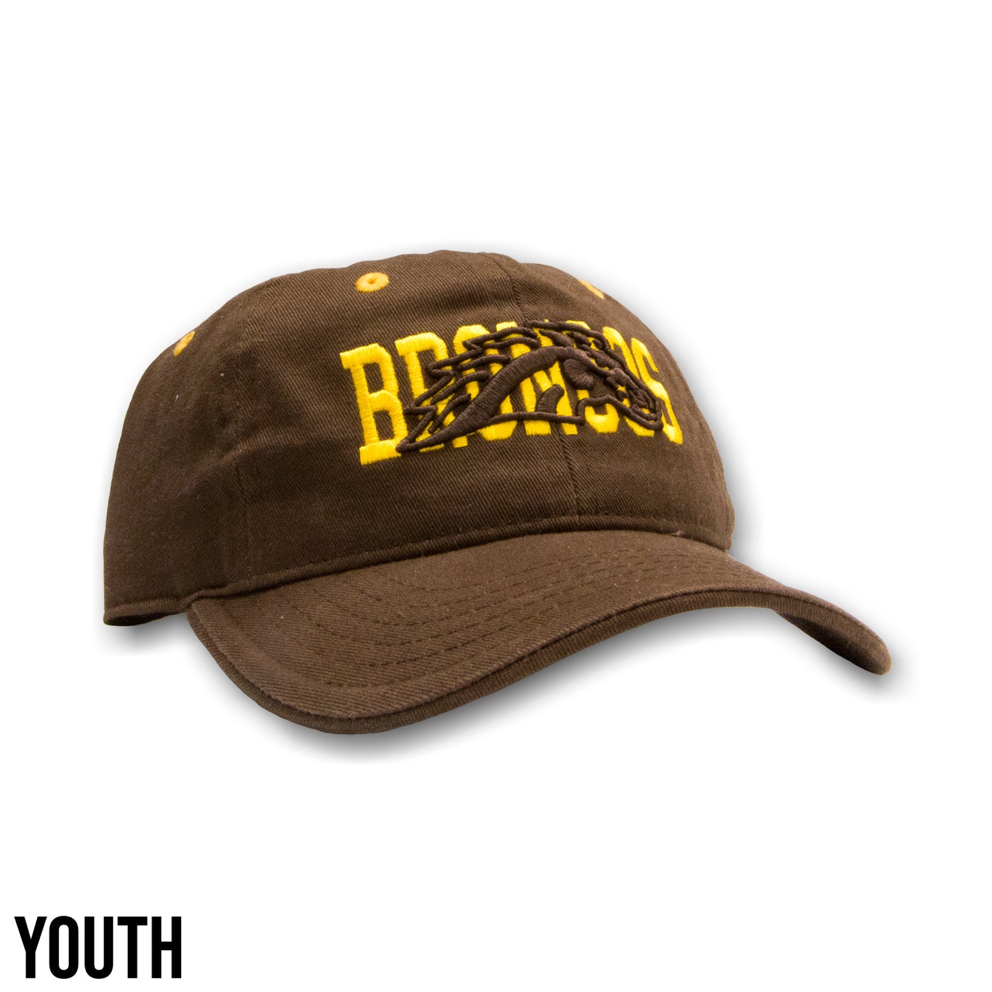 Broncos Puff Embroidered Youth Cap